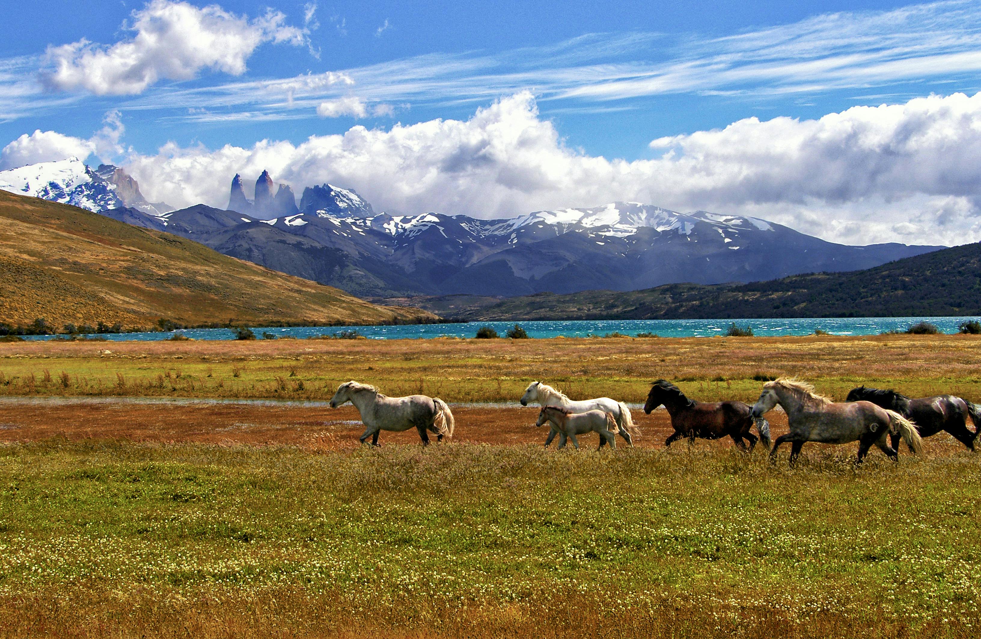 La Patagonia: El Viaje para el que la Gente Espera Toda su Vida